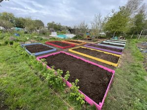 Micro plots with colourful wooden edging