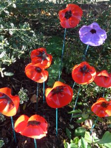Poppies 2021 a